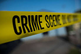 ai in Criminal Investigations