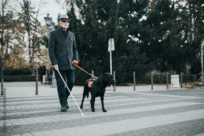 ow Blind People Use AI in U.S. Cities